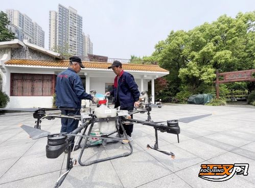 腾飞的“飞保力量” 植保无人机助力荆州古树名木与现代农业的数字化守护